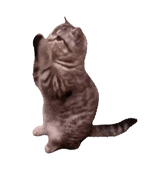 Hướng dẫn nhanh cho newbie